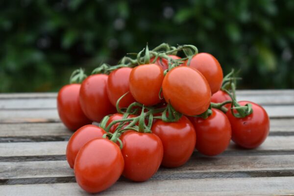 Tomaten klein